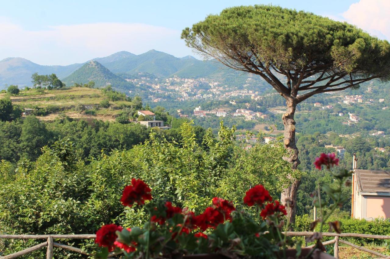 Casa Fasano Amalfi Coast Guest House Vietri Екстериор снимка